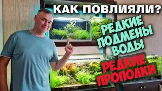 Летний обзор всех моих аквариумов
