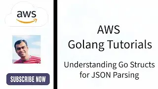 Understanding Go Structs for JSON Parsing