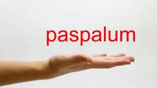 How to Pronounce paspalum - American English