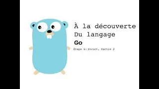 07 - Introduction à Go (golang): Structs, embedded structs & function receiver [Niveau débutant]