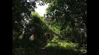 Усадьба Быково. Летняя. Живая и цветущая\Manor Bykovo