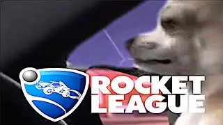 Dog Plays Rocket League #CowbellyXmasMeme