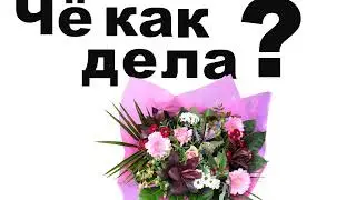 Чё как дела? Видео для ватсапа. Видео для вайбера.
