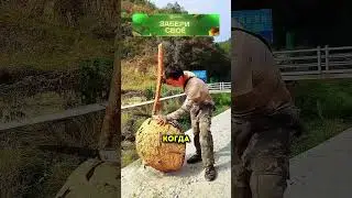 Мужчина нашел интересный улей и удивился! 
