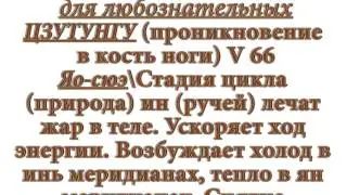 Секреты китайской медицины (66). Точка Цзу ту нгу. Меридиан мочевого пузыря V66.