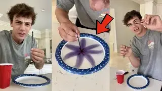 You won't believe this PEN INK EXPERIMENT! 😱 - 