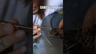 Removing Eye Caps off a Angry Cobra 🥵 