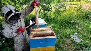 Качаю липу, много затрат,а результата мало.