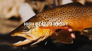 High Desert Trout with Logan | Guideline Fly Fishing Tips&Tricks