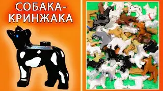 Что Она творит! Собака с AliExpress круче Лего Собак?