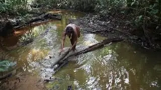 Papua. Korowai tribe. #28