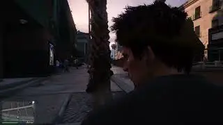 GTA 5 NPC Hair Bug