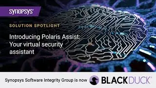 Introducing Polaris Assist: Your virtual security assistant | Black Duck