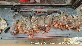 How to hunt Grouse without dog-Sudbury Ontario Canada 2022Oct22nd--HD