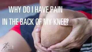 Why do I have pain in the back of my knee?