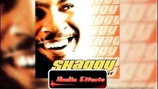 It Wasn't Me - Shaggy (Radio Edit)