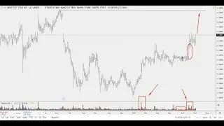 ОБЗОР ПАМПОВЫХ АКТИВОВ  Торговля на Бирже  Акции, Криптовалюта