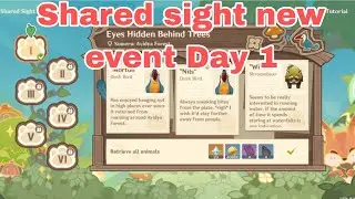 Shared Sight Genshin impact New Event