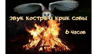 Ночь и Огонь / Звук Костра для Медитации и Сна. для снятия Стресса. Треск Дров. крики Совы.