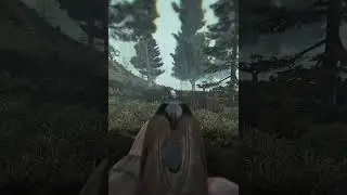 Why Grass ON is a bad idea in Stalker Gamma 