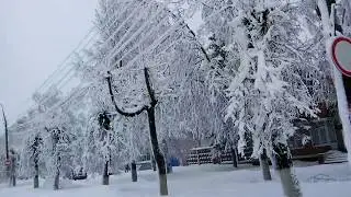 Город в снежном плену