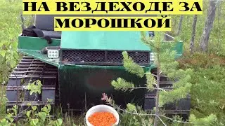 САМОДЕЛЬНЫЙ ГУСЕНИЧНЫЙ ВЕЗДЕХОД-СБОР МОРОШКИ НА БОЛОТАХ КАРЕЛИИ!