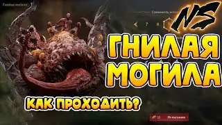 4 Сезон Гнилая могила что надо Знать? | Dragonheir: Silent Gods | Nekromans