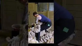 4 Years Of Felting Removed