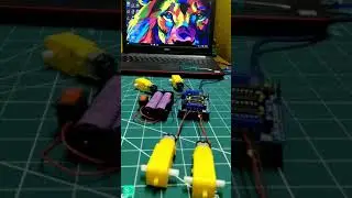 Controlling 4 DC Geared Motors with L293D Module 