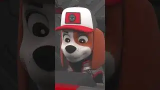 Big Truck Pups save a Satelite crashing from Space! 
