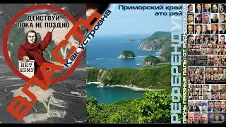 Как устроена власть в РФ 2021 Находка - Шиес РЕФЕРЕНДУМ  химический и угольный экоцид НЗМУ И УГОЛЬ