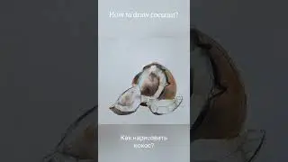 Как нарисовать кокос? 