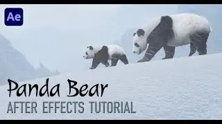 Make a Custom PANDA BEAR Animation - After Effects Tutorial