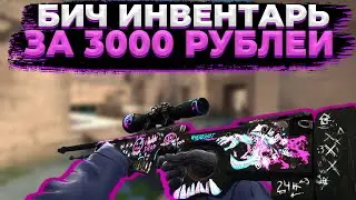 Инвентарь Мечты ЗА 3000 РУБЛЕЙ!!! - Бич Инвентарь за 3000 рублей в CS:GO