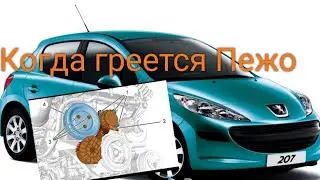 Пежо 207 греется. Меняем привод помпы и помпу