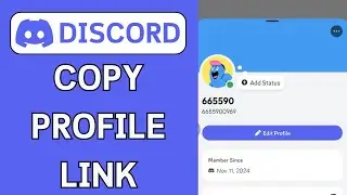 How To Copy Discord Profile Link