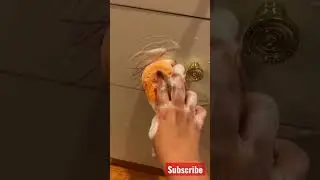 Get Off Marker Stains #shortvideo #tipsandtricks #cleaning