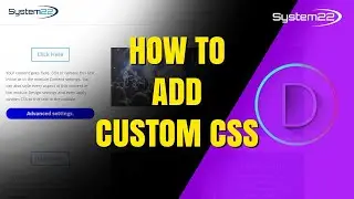 How to Add CUSTOM CSS to Divi Theme