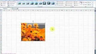 How to insert image into the cell? | Excel 2007