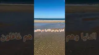 قران كريم مع شيخ ساعد الغامدي