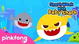 Happy Shark Week with Baby Shark | Baby Shark Show | Pinkfong Songs for Children