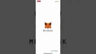 How to receive Pitbull Token from your friends on MetaMask - Mobile -