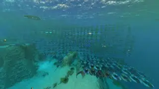 Making A Seamoth Every Day Until Subnautica 2: Day 455 (HAP NEW YEARS 2025)