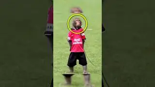 Animal Skills in Football 🤩