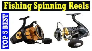 Top 5 Best Fishing Spinning Reels Review In 2023