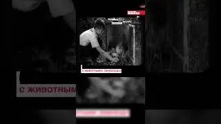Как появилось движение юных натуралистов? 