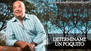 Luis Alberto Posada - Determiname Un Poquito (Audio Oficial)