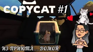 ПЕРВОЕ ЗНАКОМСТВО… | COPYCAT #1