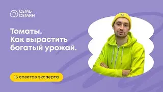 Томаты. Как вырастить богатый урожай. 13 советов эксперта