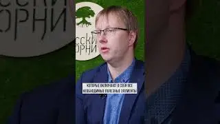 Поддержка организма во время диеты. Как похудеть мотивация. Как снизить калории.